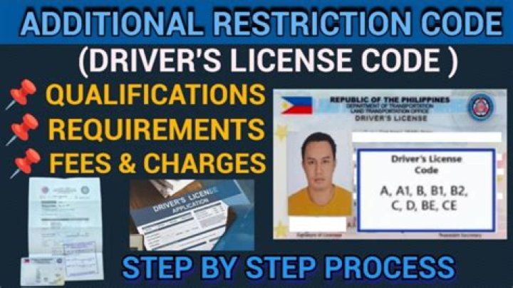 A Comprehensive Guide To Driver License Codes In SA