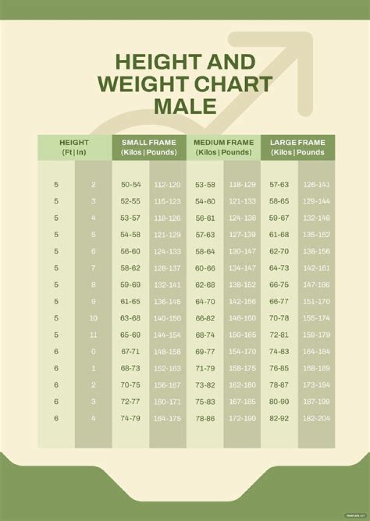 Behind The Height, Weight, Age, And More!
