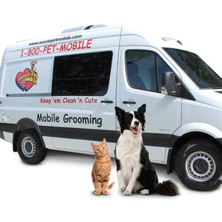 Chinatown Local Mobile Dog Grooming