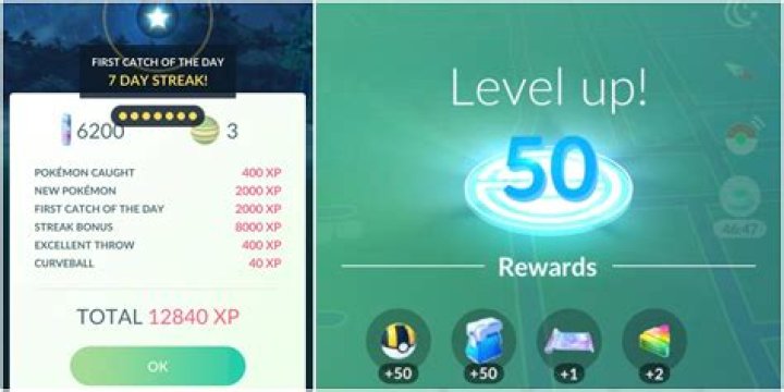 Discover The Ultimate Guide To All Level 41 To 50 Level Up