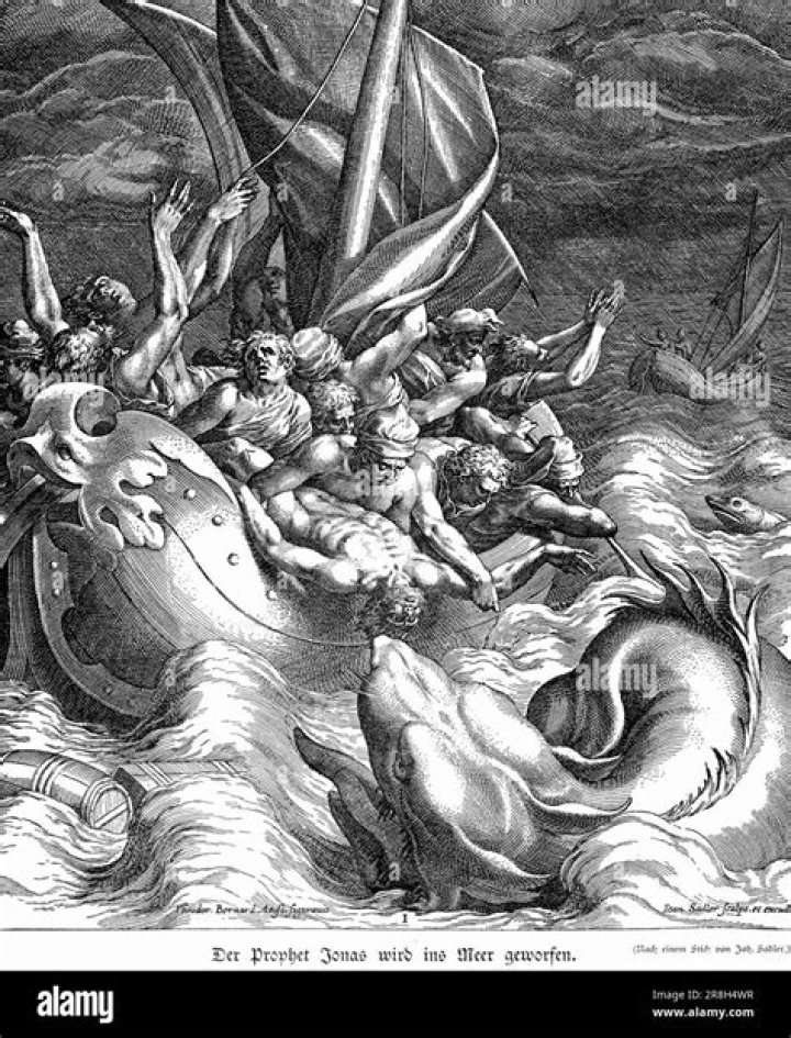 Discoveries And Insights Into Jonah Frank King