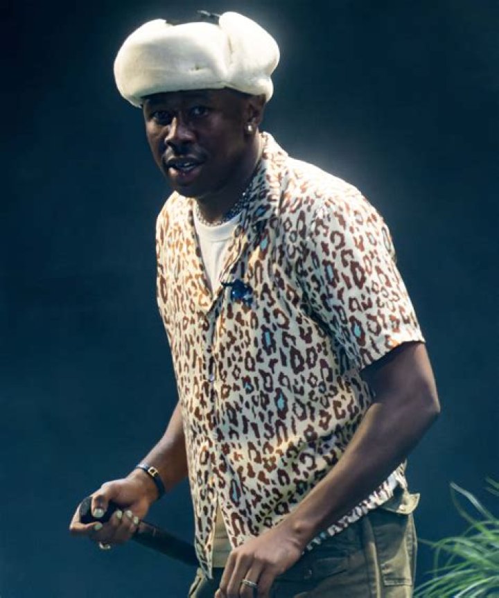 Discoveries From "tyler The Creator Mum"