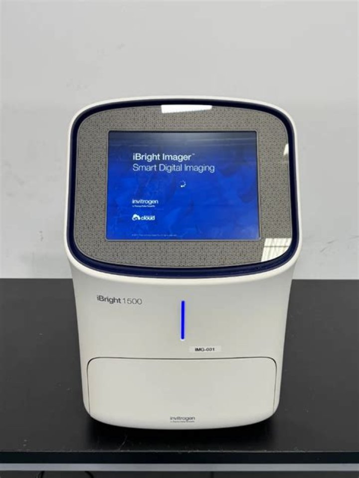 iBright imaging systems