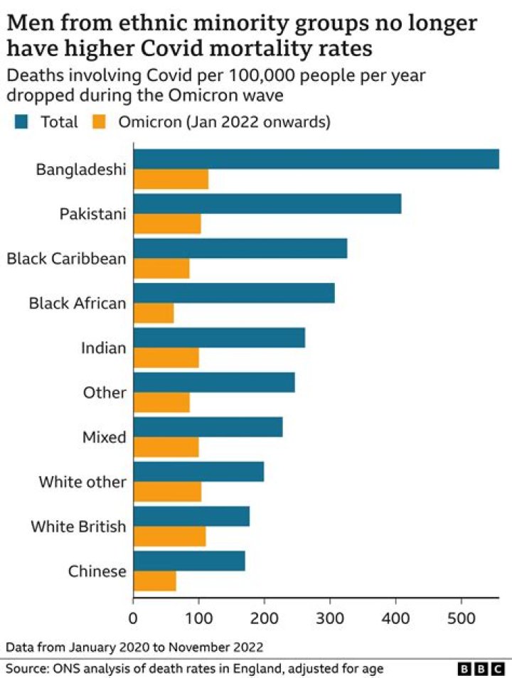 Race, Ethnicity, Life, And Impact