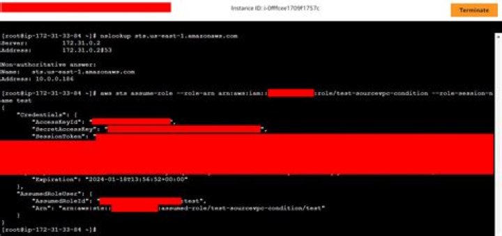 sourceVpc