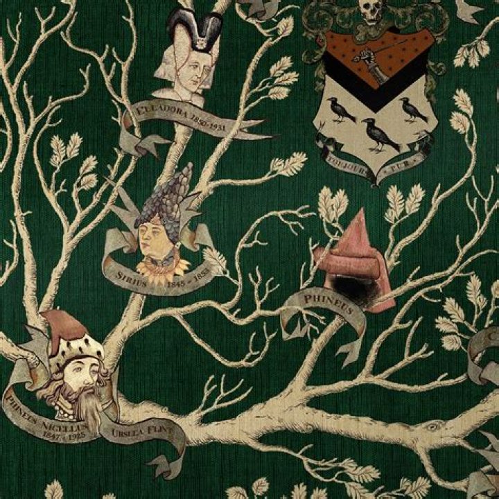 Uncovering The Family Tapestry Of Noah Bookbinder