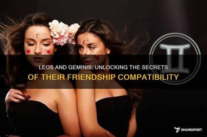 Uncovering The Secrets Of Their Friendship