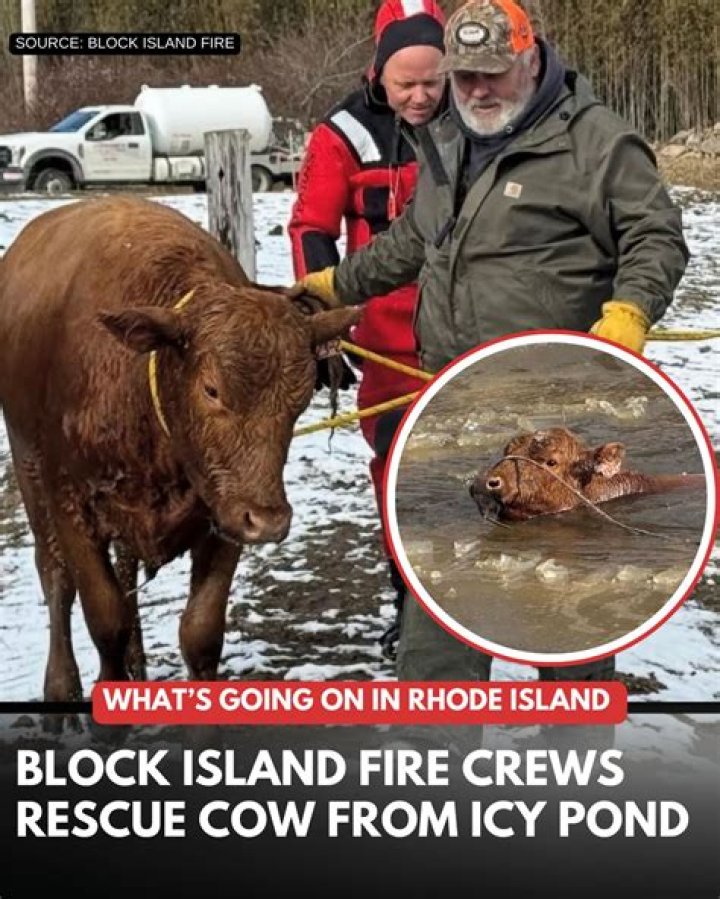 Unraveling The Block Island Jake Panus Car Accident: Insights Revealed