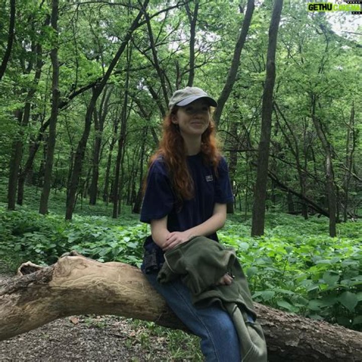 Unveiling Abby Donnelly's Age: Discoveries And Insights