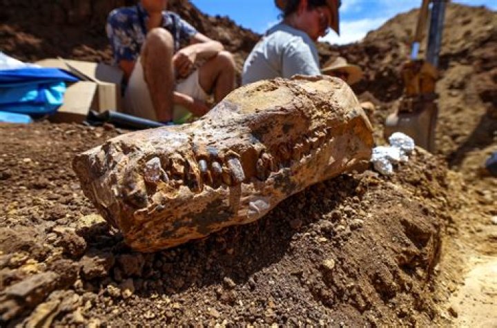 Unveiling Bryce Young's Family Legacy: Discoveries And Insights