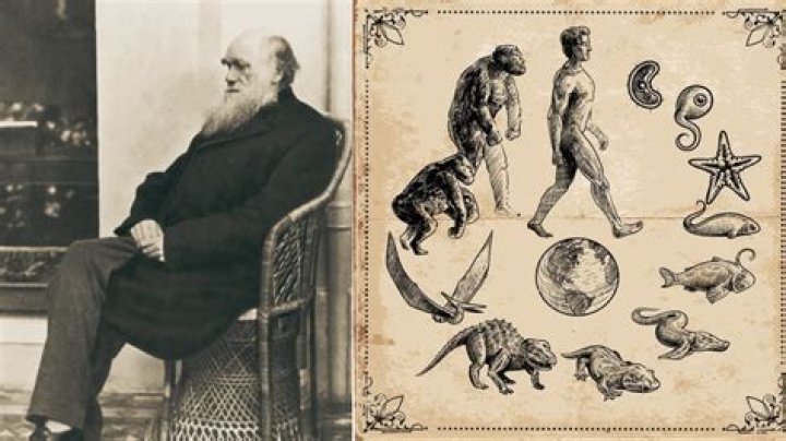 Unveiling The Legacy Of Charles Edward Murphy: Discoveries And Insights