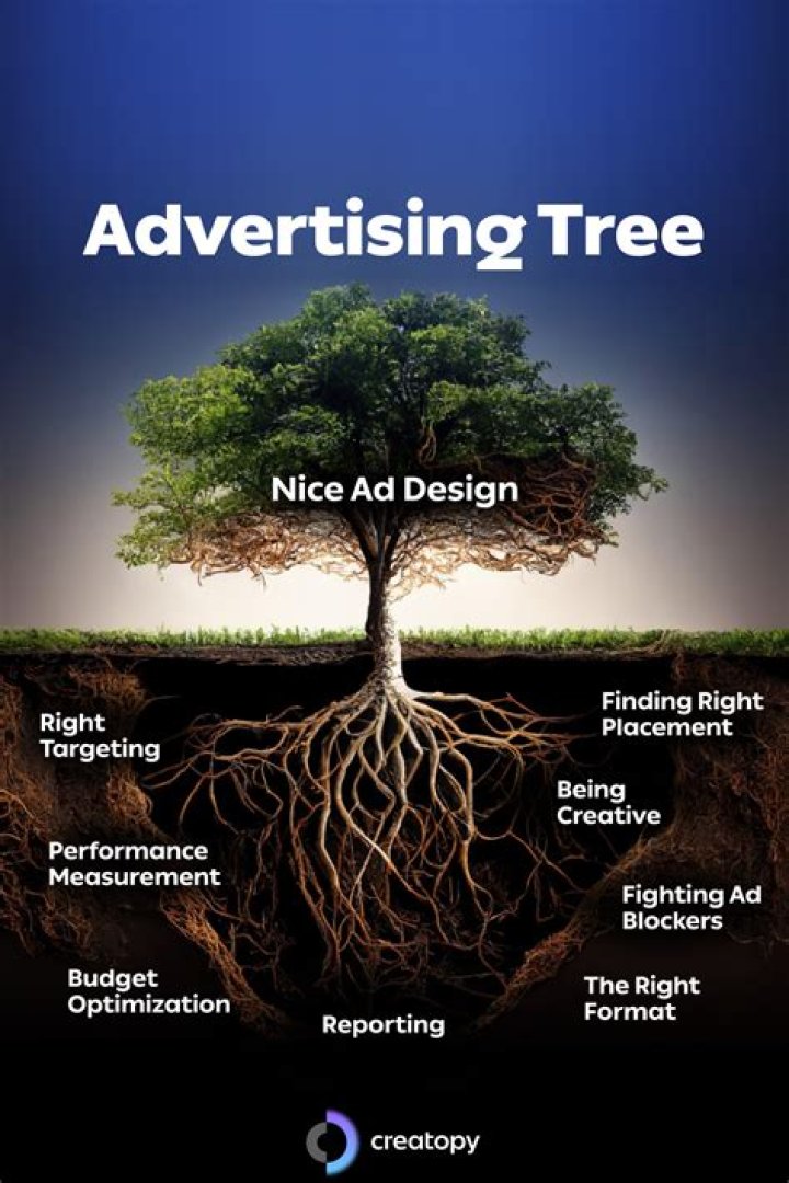 Unveiling The Roots Of Success
